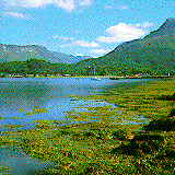 glencoe2.gif
